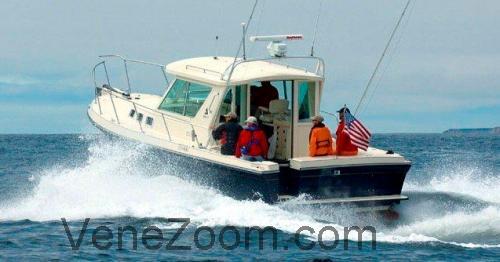 Albin 31 Tekniset tiedot ja arvostelut